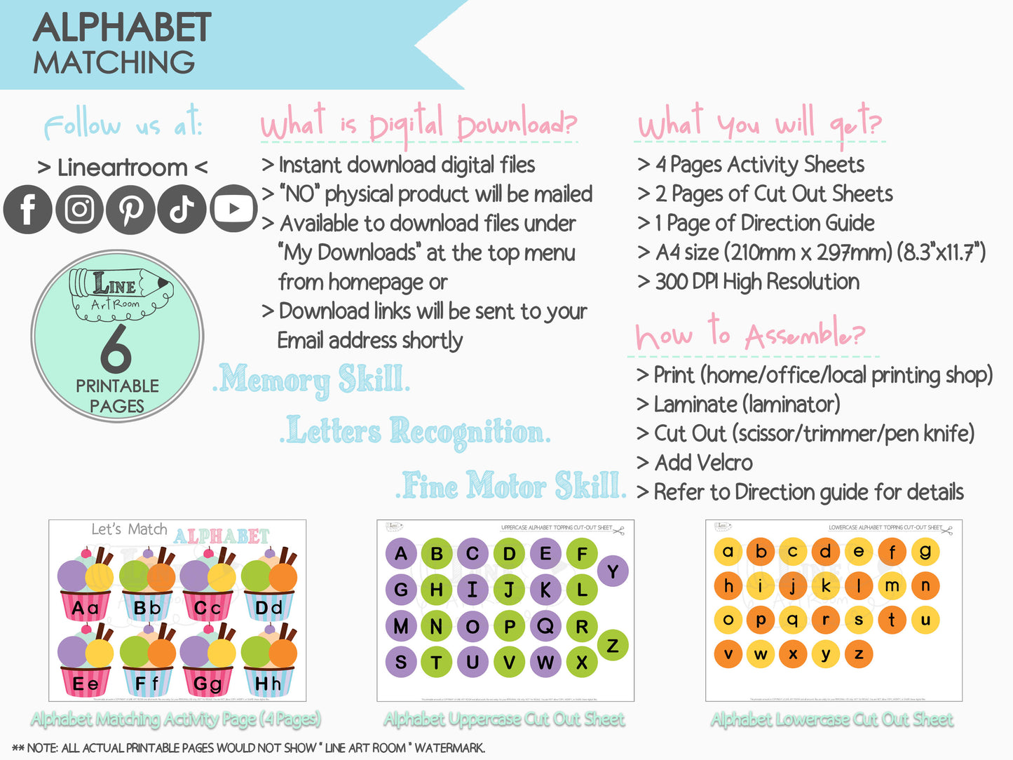 Alphabet Matching Product Information