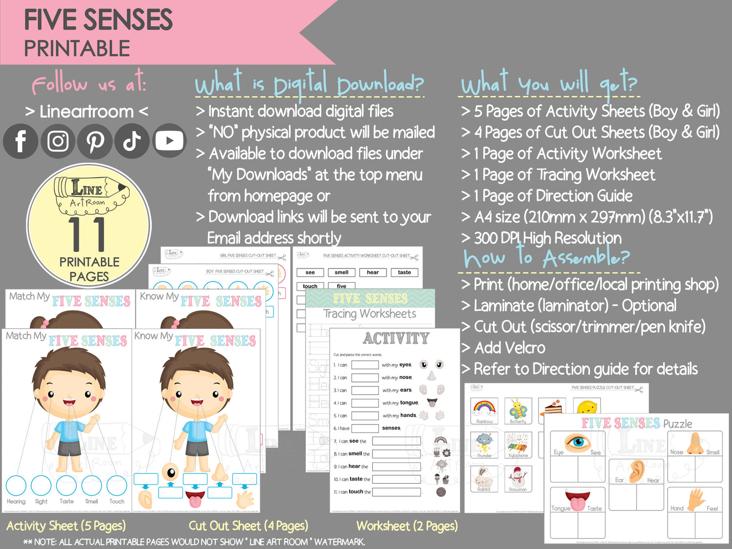 Five Senses Printable Product Information